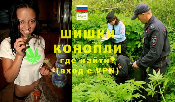 мяу мяу мука Аркадак